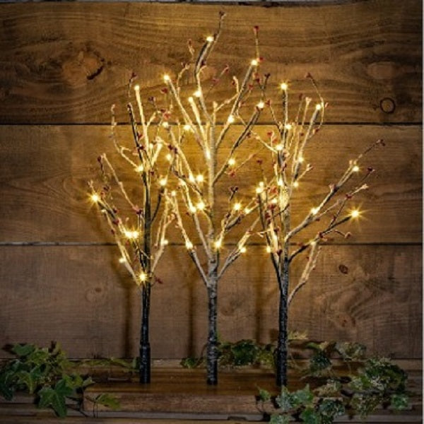 Lighted Tabletop Birch Tree With Timer USB Plugin Or, 53 OFF