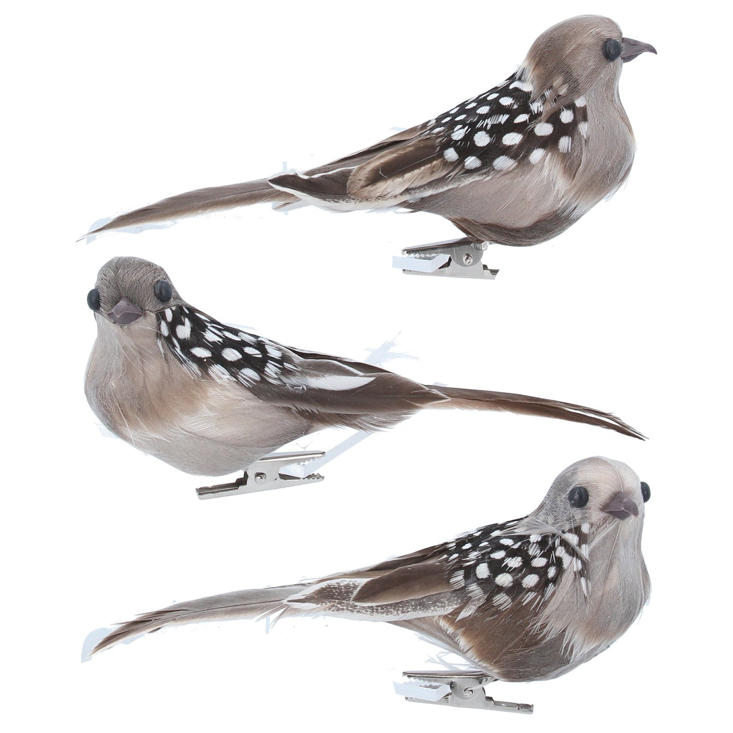 Three decorative birds with spotted patterns on a white background