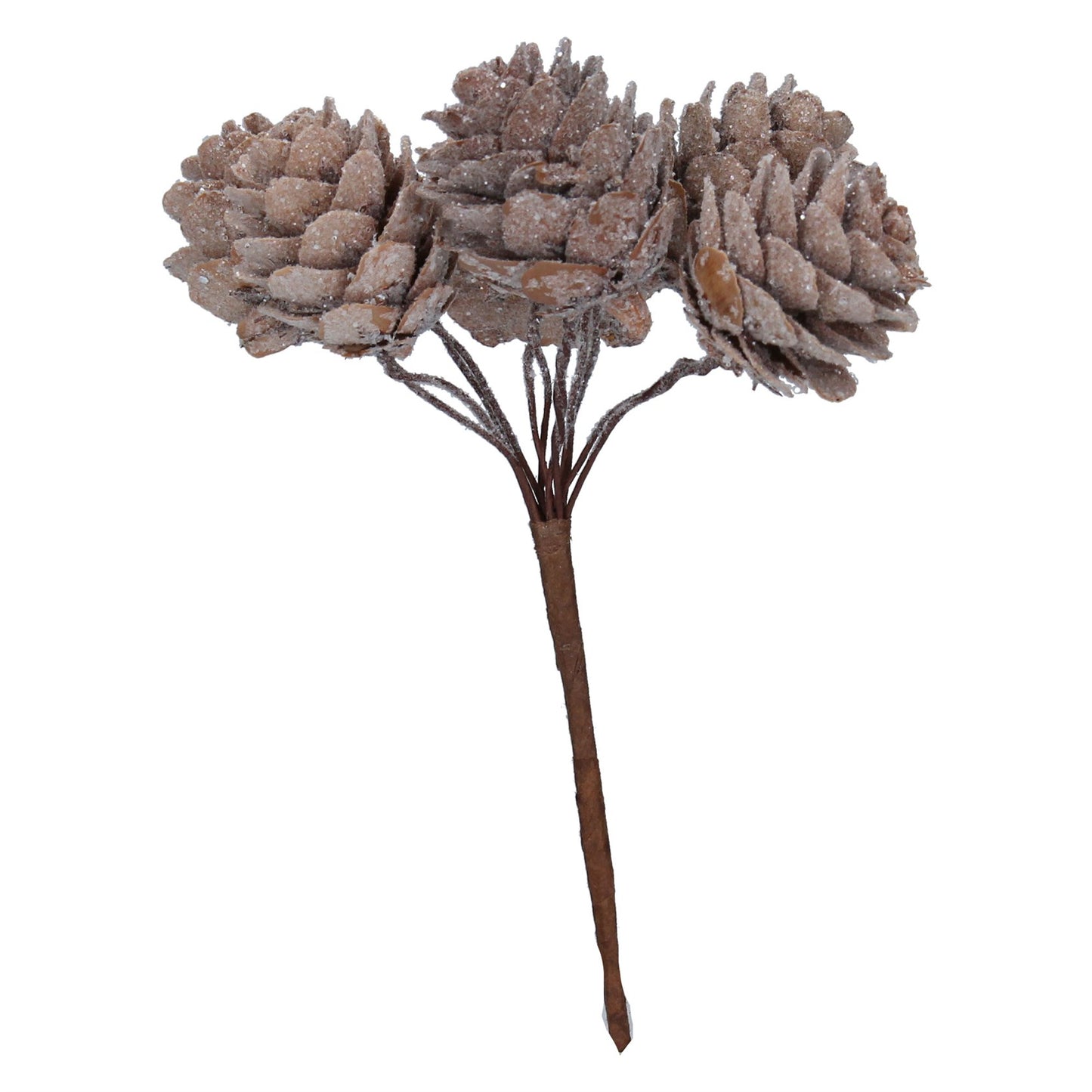 Three frosted pinecone Christmas picks arranged in a bundle with a common stem, each with a varying level of frosting.
