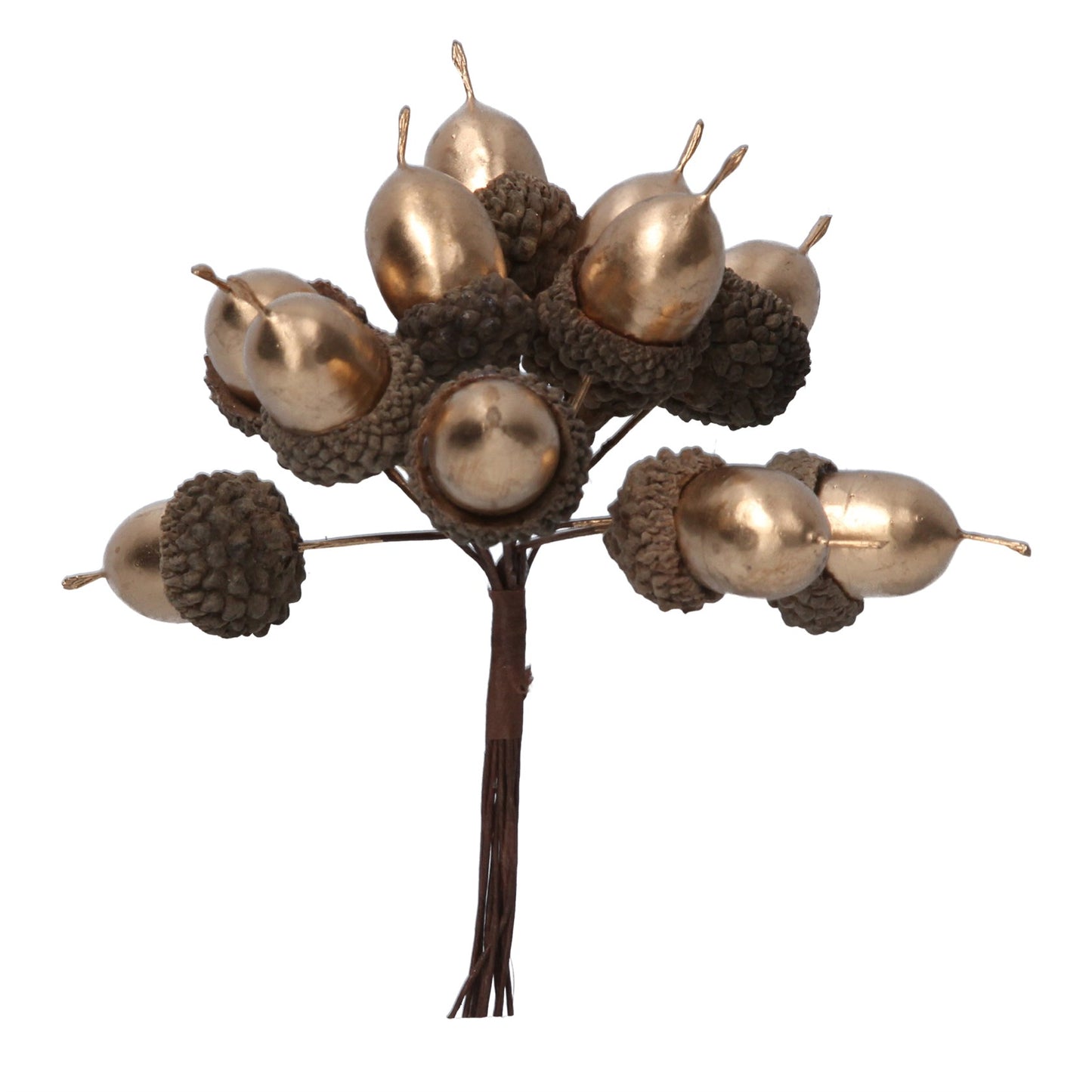 A decorative gold acorn design, featuring multiple acorn-shaped ornaments strung on a branch against a white background.