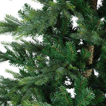 Load image into Gallery viewer, Everlands Grandis Fir Christmas Tree 6ft/180cm
