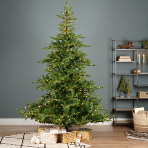 Everlands Grandis Fir Pre-Lit Christmas Tree 7ft/210cm