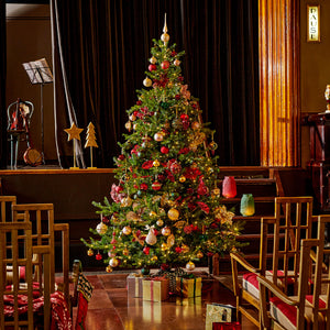 Everlands Grandis Fir Pre-Lit Christmas Tree 7ft/210cm