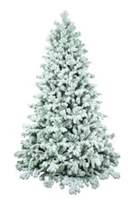 Load image into Gallery viewer, Noma Lakeland Snowmelt Fir 7.5ft Christmas Tree
