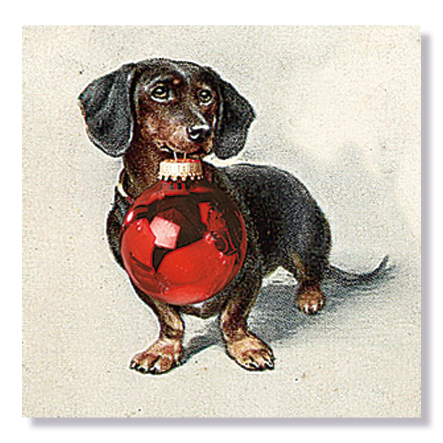 Coppenrath Festive Dogs Advent Calendar