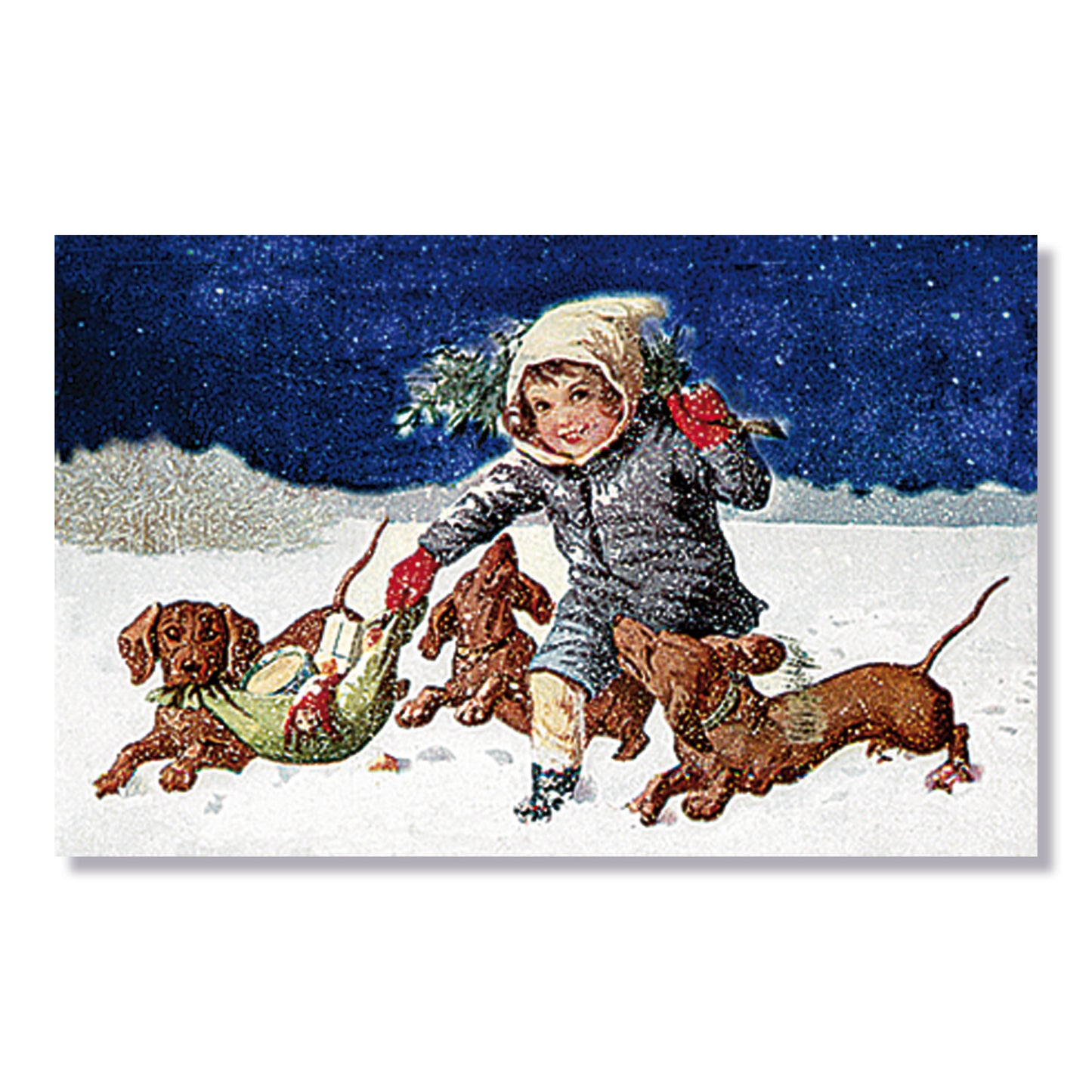 Coppenrath Festive Dogs Advent Calendar