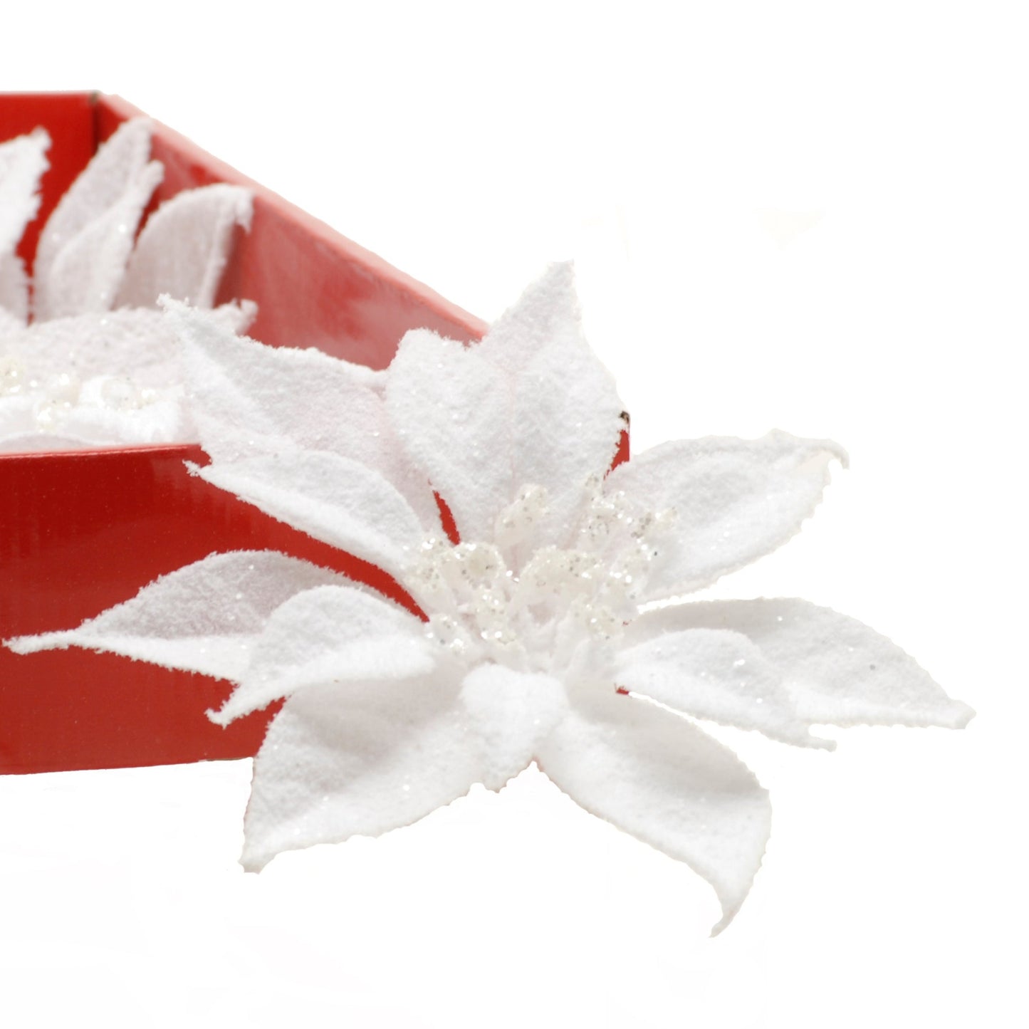 A white snowy Christmas poinsettia clip placed on a red box, representing a decorative item for the holiday season.