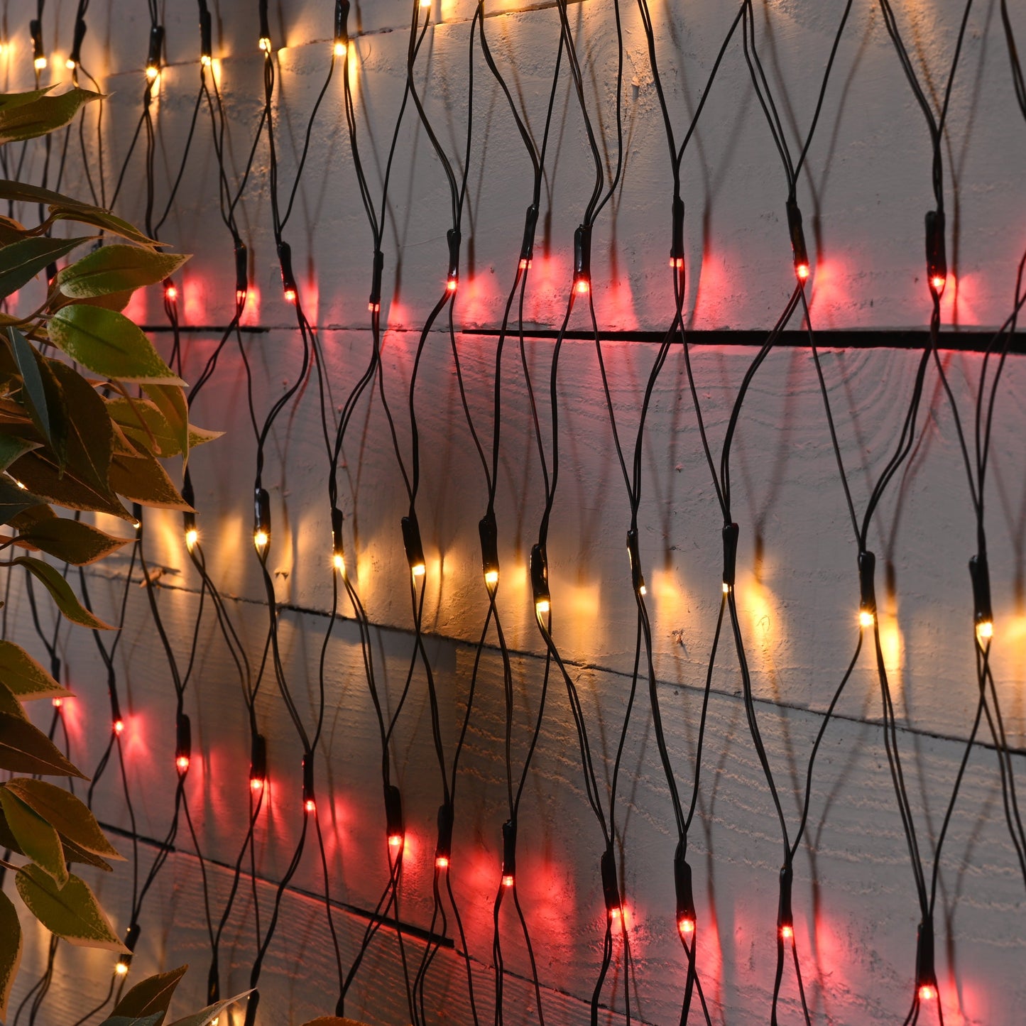 A close-up view of red and warm white firefly Christmas net lights illuminated against a wooden backdrop, with green foliage partially visible on the side.
