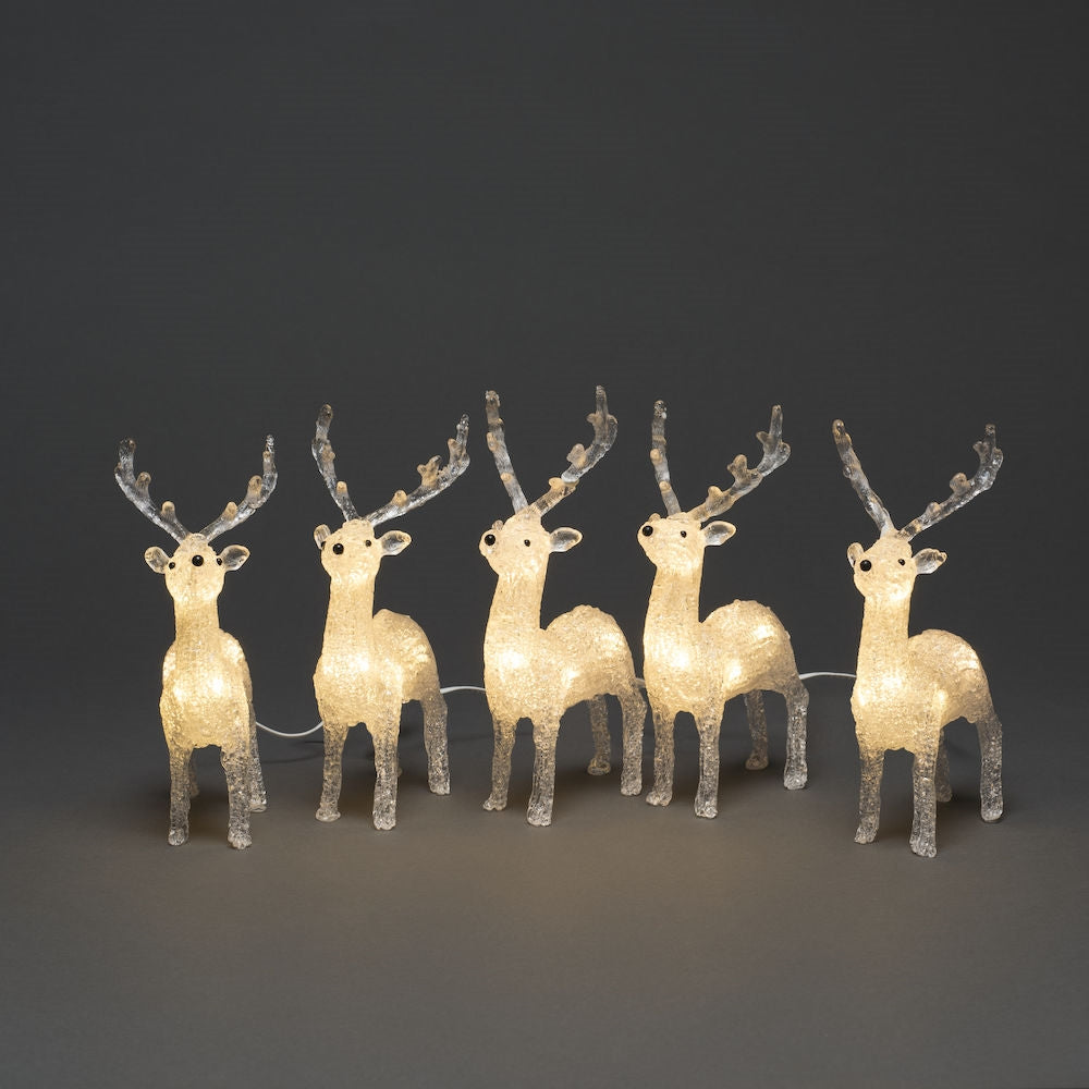 Konstsmide 5 Piece Acrylic Reindeer Christmas LED Set