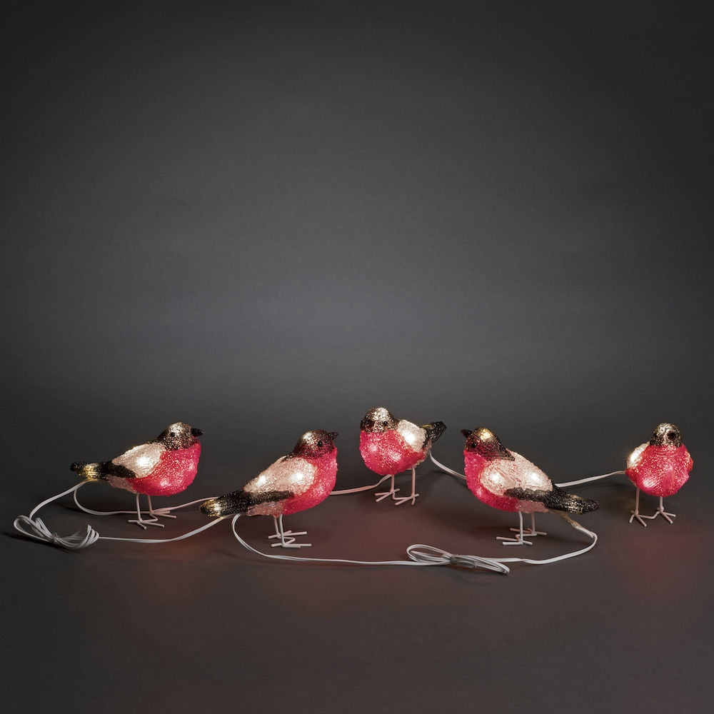 Konstsmide 5 Piece Acrylic Christmas Bullfinches LED Light Set