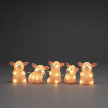 Load image into Gallery viewer, Konstsmide 5 Piece Acrylic Pink Pigs Light Set
