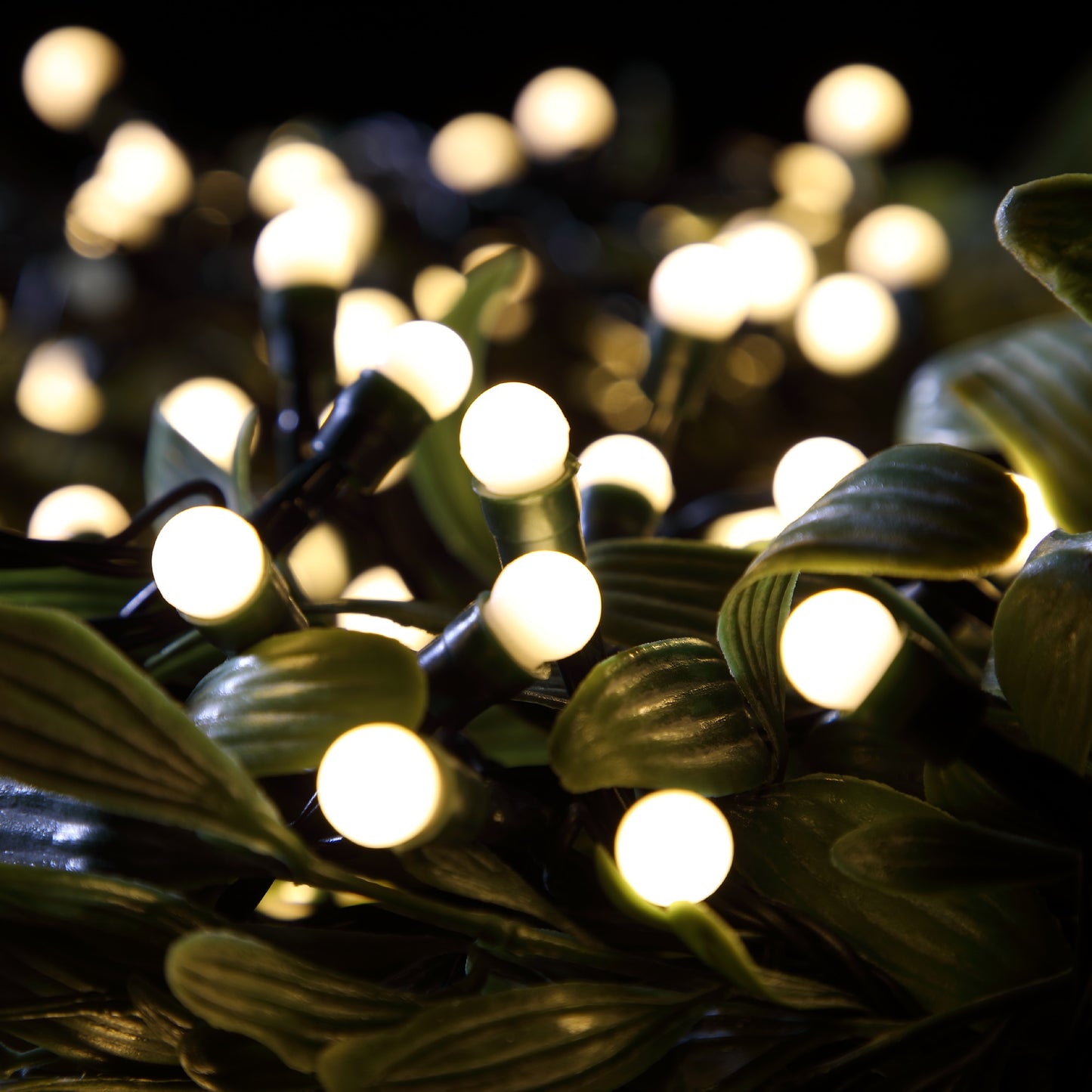 Noma 100 Warm White LED Christmas Berry Battery Lights