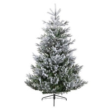 Load image into Gallery viewer, Everlands Frosted Arlberg Fir Pre Shaped Christmas Tree 7ft/210cm
