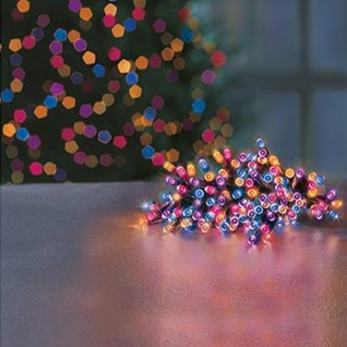 Premier TimeLights 50 Rainbow LED Battery Operated String Lights