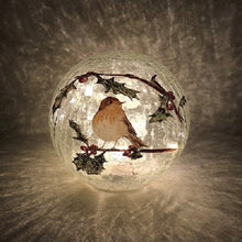 Load image into Gallery viewer, Crackle Effect Lit 20cm Ball with Robin Scene Battery Operated
