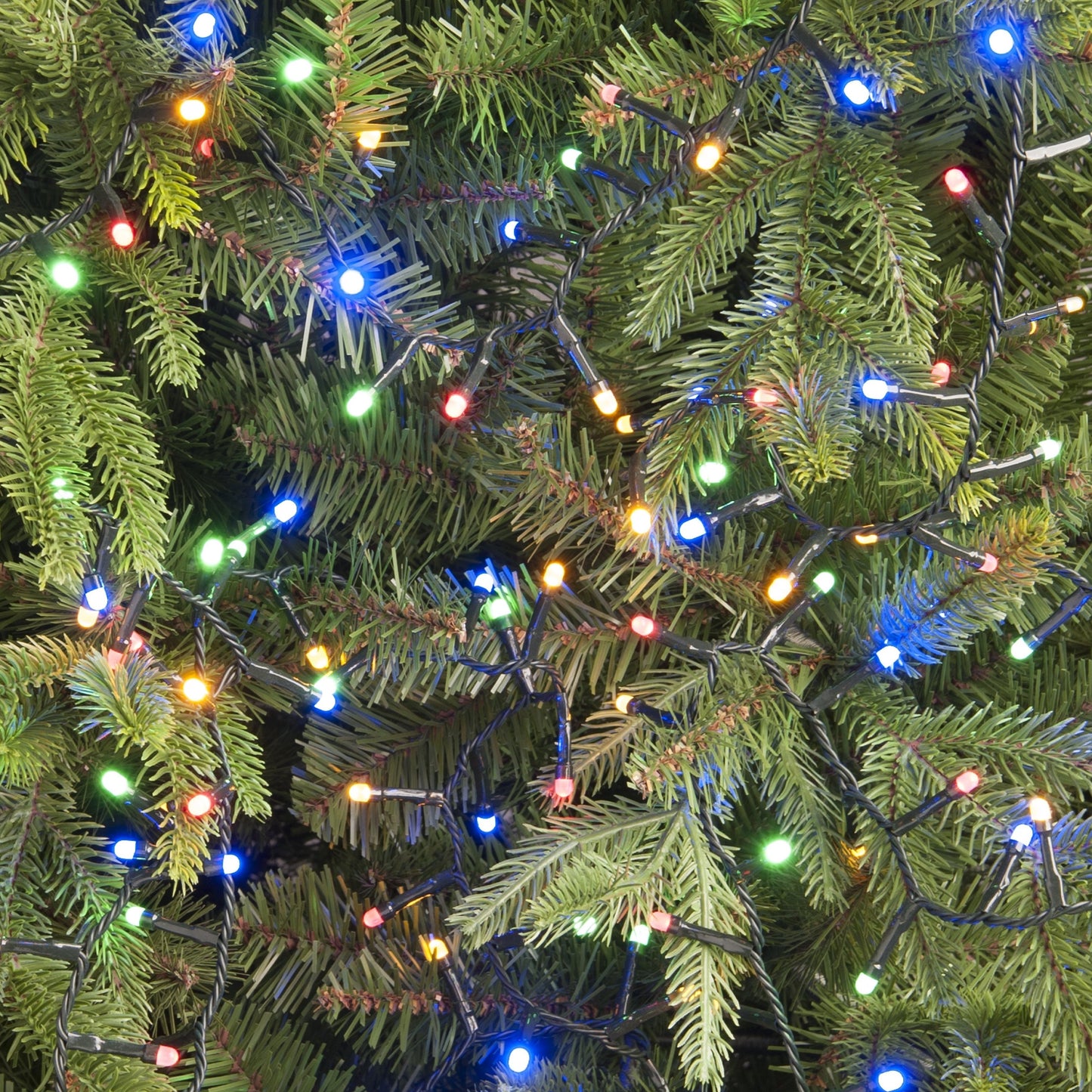 A close-up of a Christmas tree decorated with multi-colored glow worm lights.