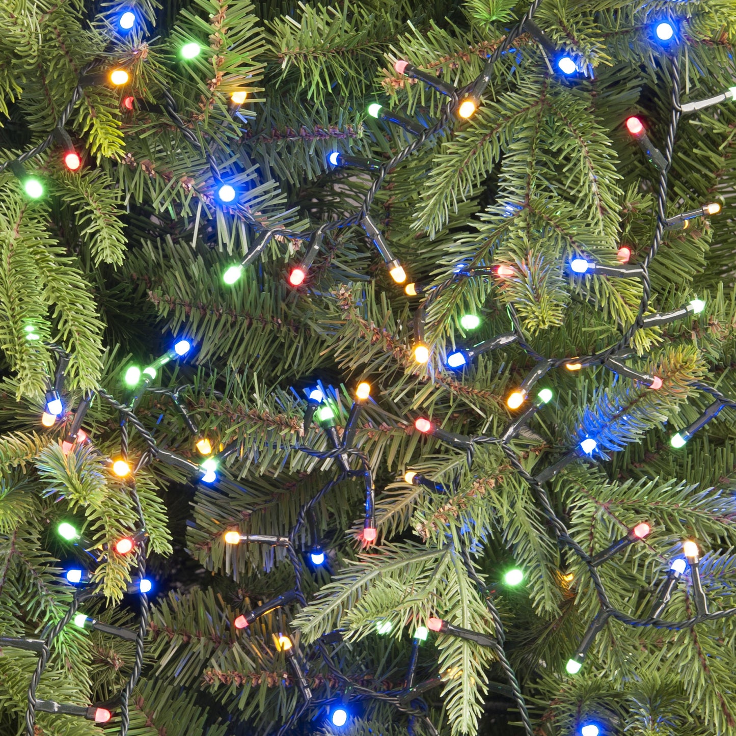 Close-up of a Christmas tree decorated with multi-colored glow worm lights.