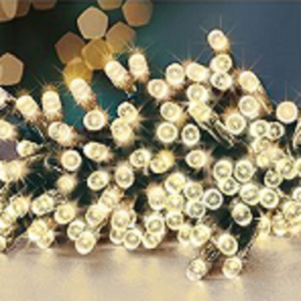 Premier TimeLights 100 Warm White LED Battery Operated Christmas String Lights