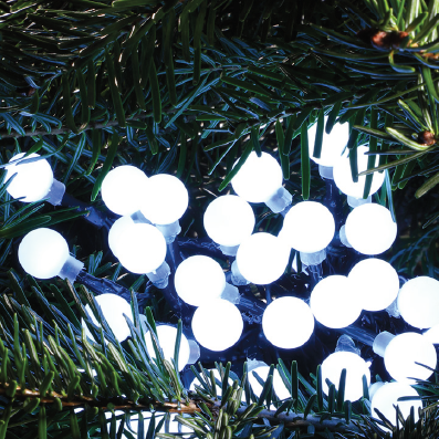 String of white berry Christmas lights on a green pine branch