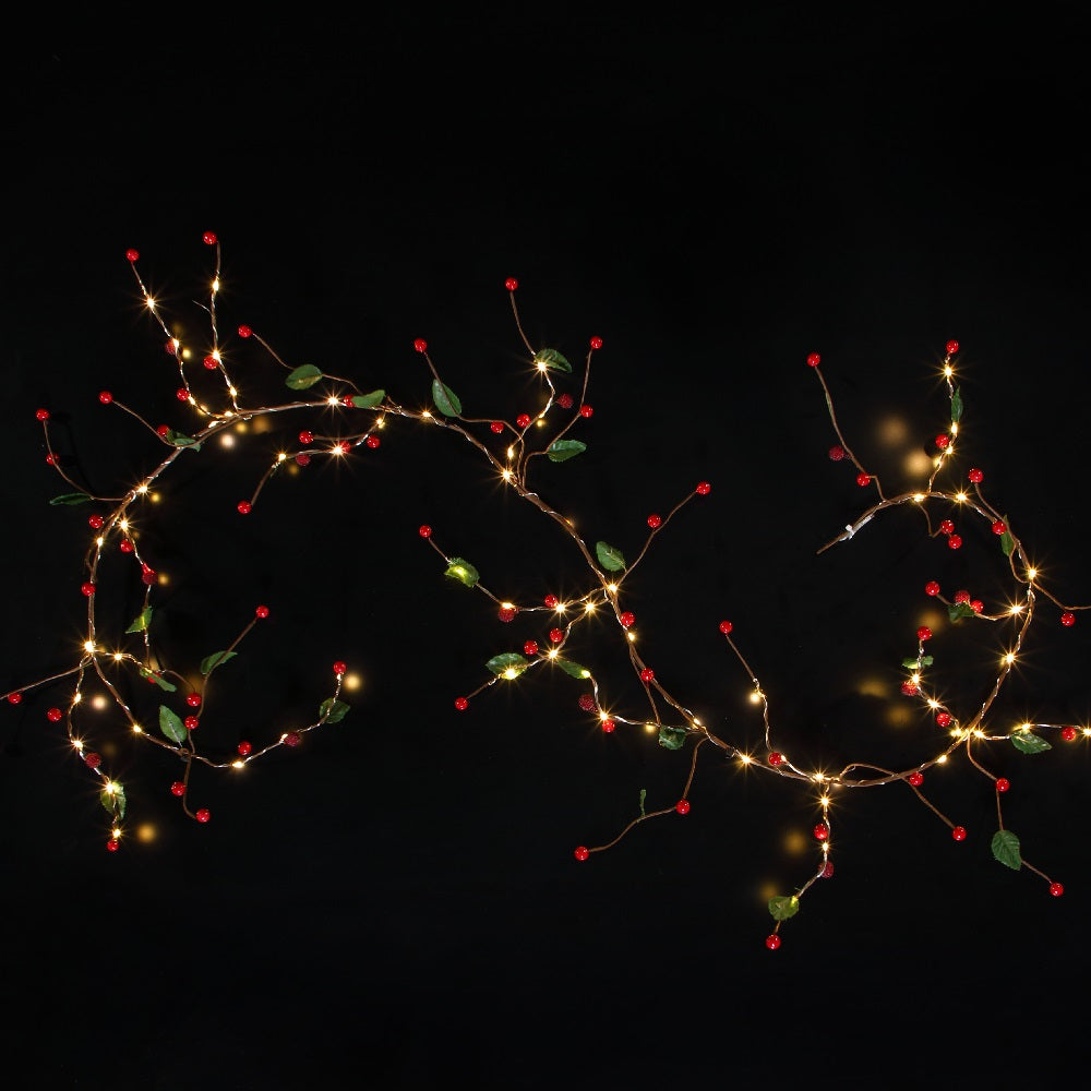 Decorative string lights on branches with red berries against a dark background