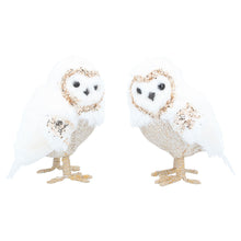 Load image into Gallery viewer, Set of 2 Cream and Gold Owl Christmas Decoration
