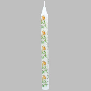 Robin and Holly Design Christmas Advent Candle