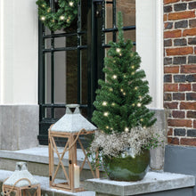 Load image into Gallery viewer, Imperial Pottable Pre-Lit Mini Christmas Tree
