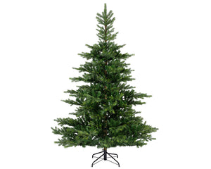 Everlands Grandis Fir Christmas Tree 6ft/180cm
