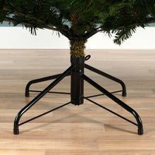 Load image into Gallery viewer, Everlands Grandis Fir Christmas Tree 6ft/180cm
