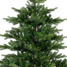 Load image into Gallery viewer, Everlands Grandis Fir Christmas Tree 7ft/210cm
