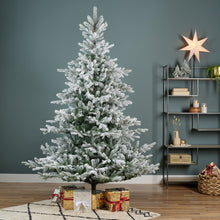 Load image into Gallery viewer, Everlands Snowy Grandis Fir Christmas Tree 7ft/210cm
