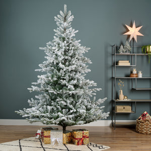 Everlands Snowy Grandis Fir Christmas Tree 7ft/210cm