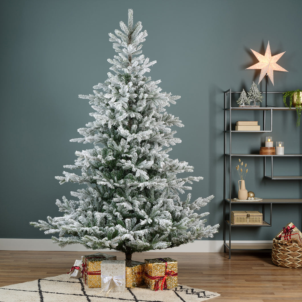 Everlands Snowy Grandis Fir Christmas Tree 6ft/180cm