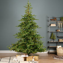 Load image into Gallery viewer, Everlands Grandis Fir Pre-Lit Christmas Tree 7ft/210cm
