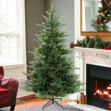 Load image into Gallery viewer, Noma Nordman Fir Christmas Tree 6ft
