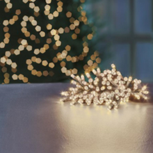 Load image into Gallery viewer, Premier TimeLights 100 Warm White LED Clear Cable String Lights

