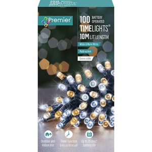 Premier TimeLights 100 White and Warm White LED String Lights