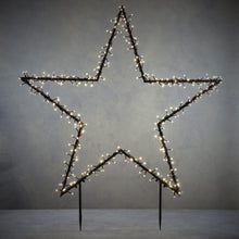 Load image into Gallery viewer, Christmas Star Outdoor Display Wall or Stake Light Warm White 102cm
