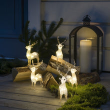 Load image into Gallery viewer, Konstsmide 5 Piece Acrylic Reindeer LED Set
