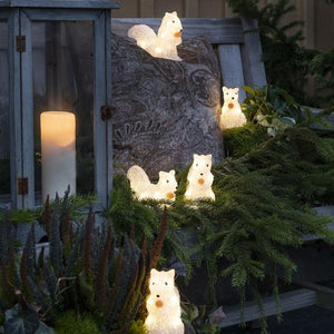 Acrylic Lit LED Warm White Squirrel Set