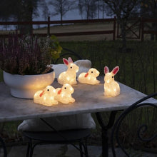 Load image into Gallery viewer, Acrylic Lit LED Warm White Rabbit Set
