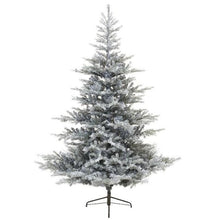 Load image into Gallery viewer, Everlands Frosted Grandis Fir Christmas Tree 6ft/180cm
