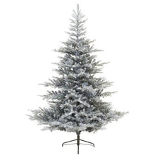 Load image into Gallery viewer, Everlands Frosted Grandis Fir Christmas Tree 7ft/210cm
