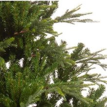 Load image into Gallery viewer, Everlands Serbian Spruce 6ft Christmas Tree

