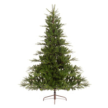 Load image into Gallery viewer, Everlands Serbian Spruce 7ft Christmas Tree
