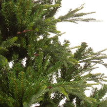 Load image into Gallery viewer, Kaemingk Everlands Serbian Spruce 7ft Christmas Tree
