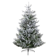 Load image into Gallery viewer, Everlands Frosted Arlberg Fir Pre Shaped Christmas Tree 6ft/180cm
