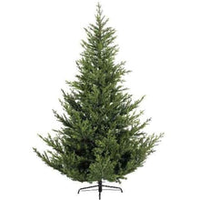 Load image into Gallery viewer, Everlands Norway Spruce 210cm/7ft Christmas Tree
