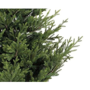Everlands Norway Spruce 180cm/6ft Christmas Tree