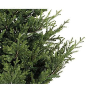 Everlands Norway Spruce 210cm/7ft Christmas Tree